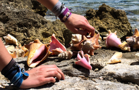 Coquillage Ciao Angel